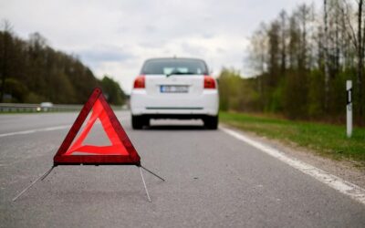 Assurance auto, assurance taxi : en cas de choc avec un animal sauvage