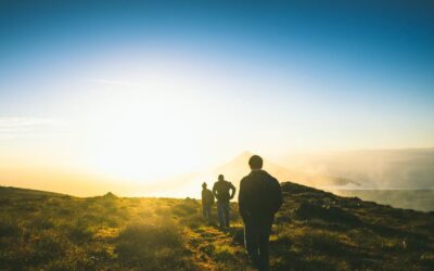 Les assurances les plus courantes pour les particuliers